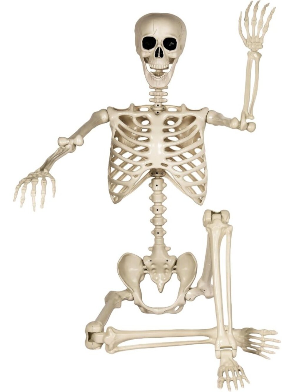 Life-Size Poseable Skeleton 5.4ft for Halloween Decor, Indoor/Outdoor Spooky